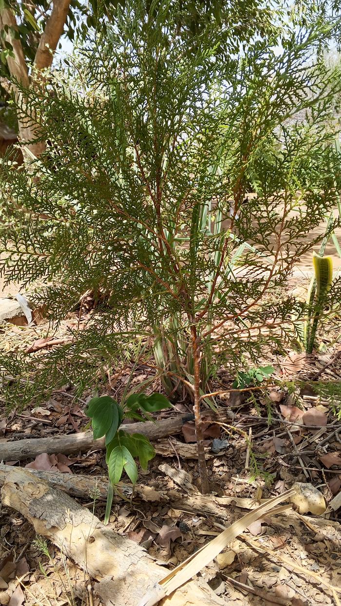 [Thumbnail for IMG_20260318_134853_306.jpg]