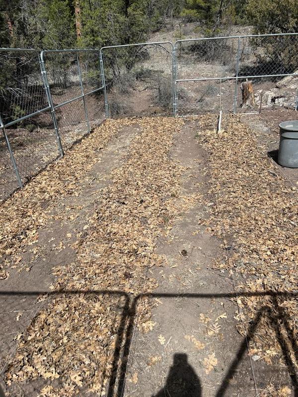 [Thumbnail for Beds-1.JPG]