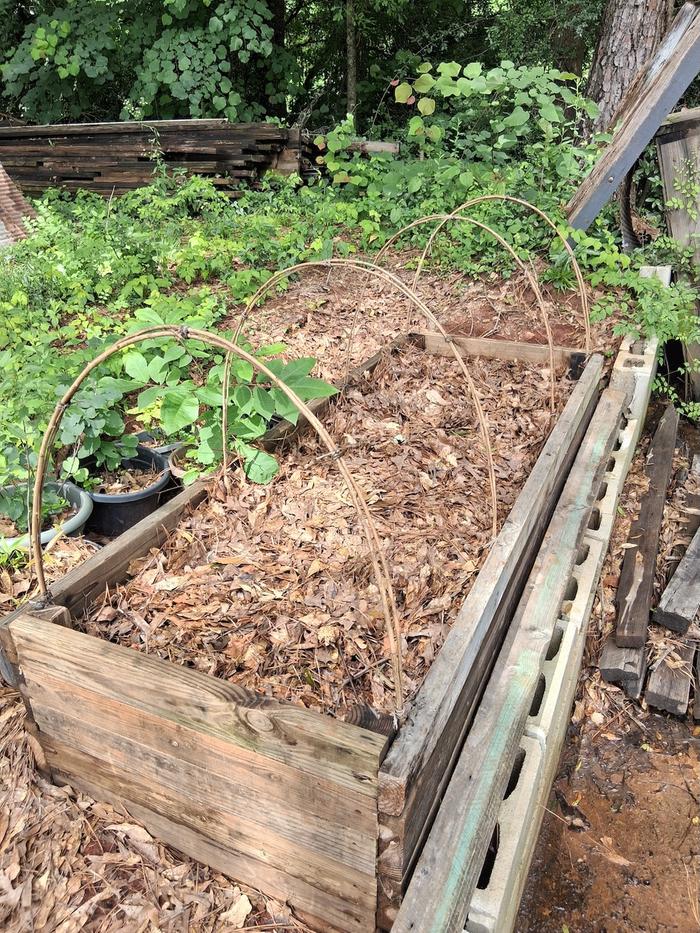 My winter hot box does summer duty as a potting soil worm farm