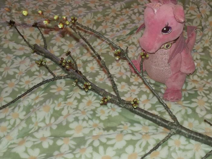 [Thumbnail for rosa-s-cherry-branch.jpg]