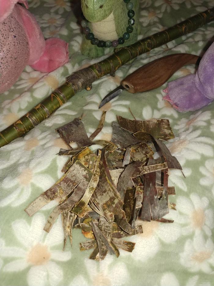 [Thumbnail for cherry-bark.jpg]