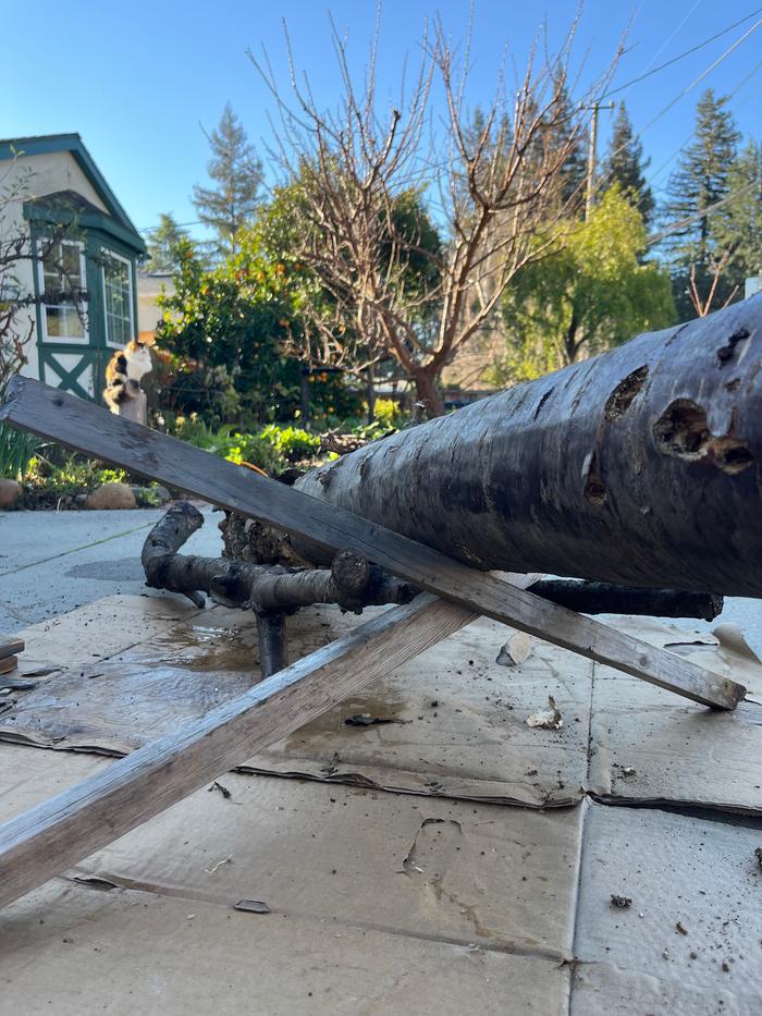 Sawbuck made of branches, no tools required