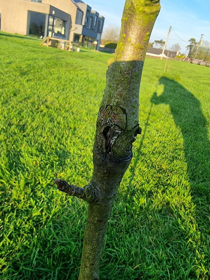 [Thumbnail for 20260319_174224.jpg]