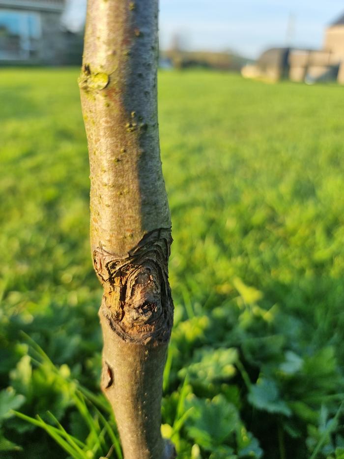 [Thumbnail for 20260319_174230.jpg]