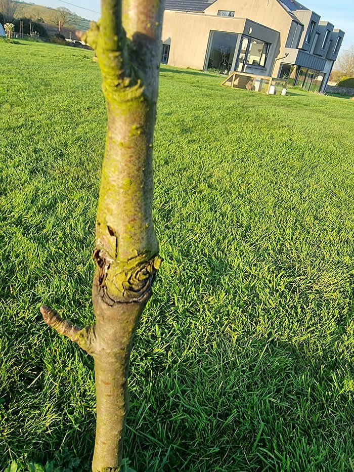 [Thumbnail for 20260319_174220.jpg]