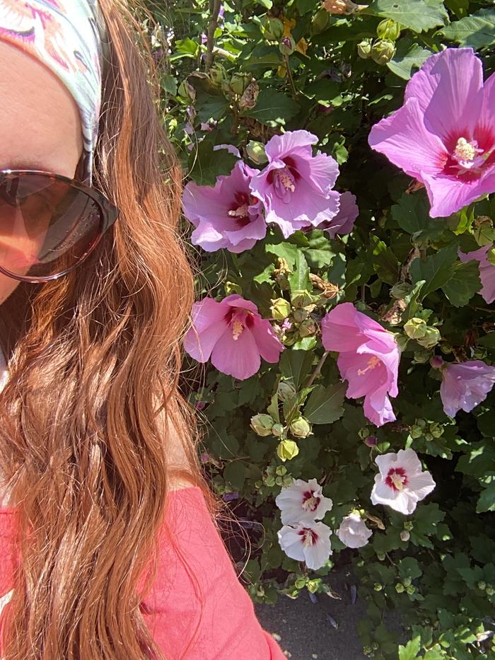 [Thumbnail for IMG_5439.jpeg]