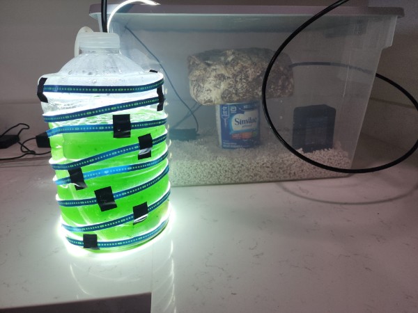 [Thumbnail for c9d79897-e4d3-464b-8a5b-1d2f7c5a5072.jpg.jpeg]