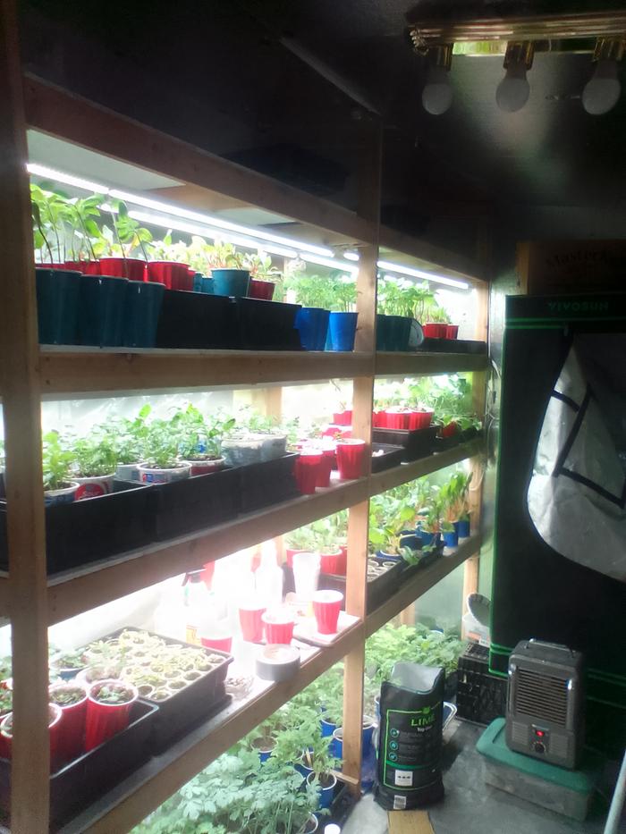 [Thumbnail for IMG_20260318_184329.jpg]