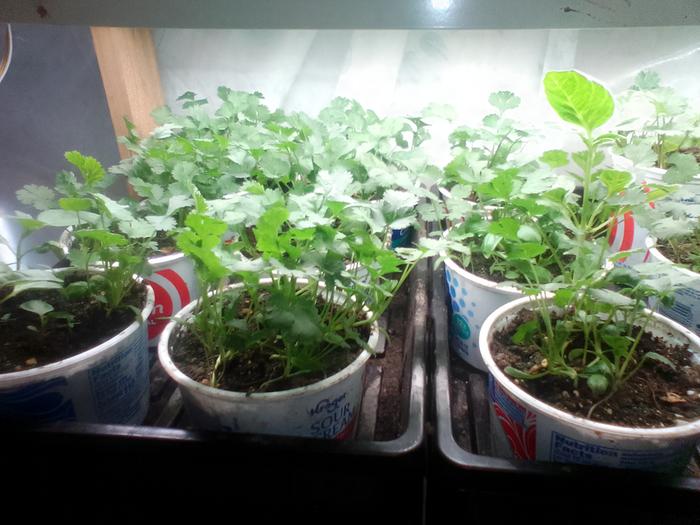 [Thumbnail for IMG_20260318_091933.jpg]