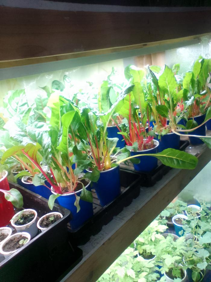 [Thumbnail for IMG_20260318_091907.jpg]