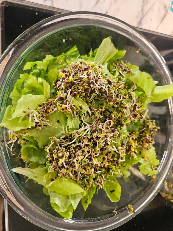 [Thumbnail for 20260321_171908.jpg]