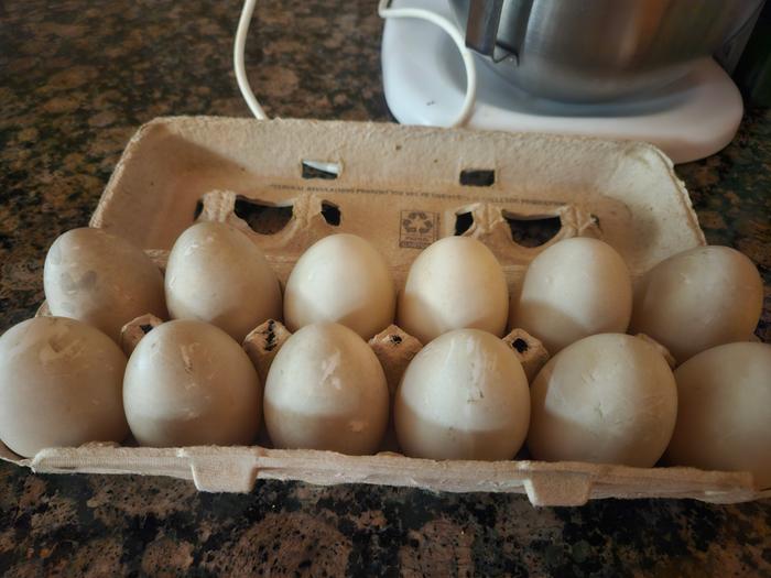 A dozen eggs to share