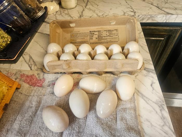 Washing up so many eggs. My lovely duckies laid eggs for me the whole while I was gone 🥰