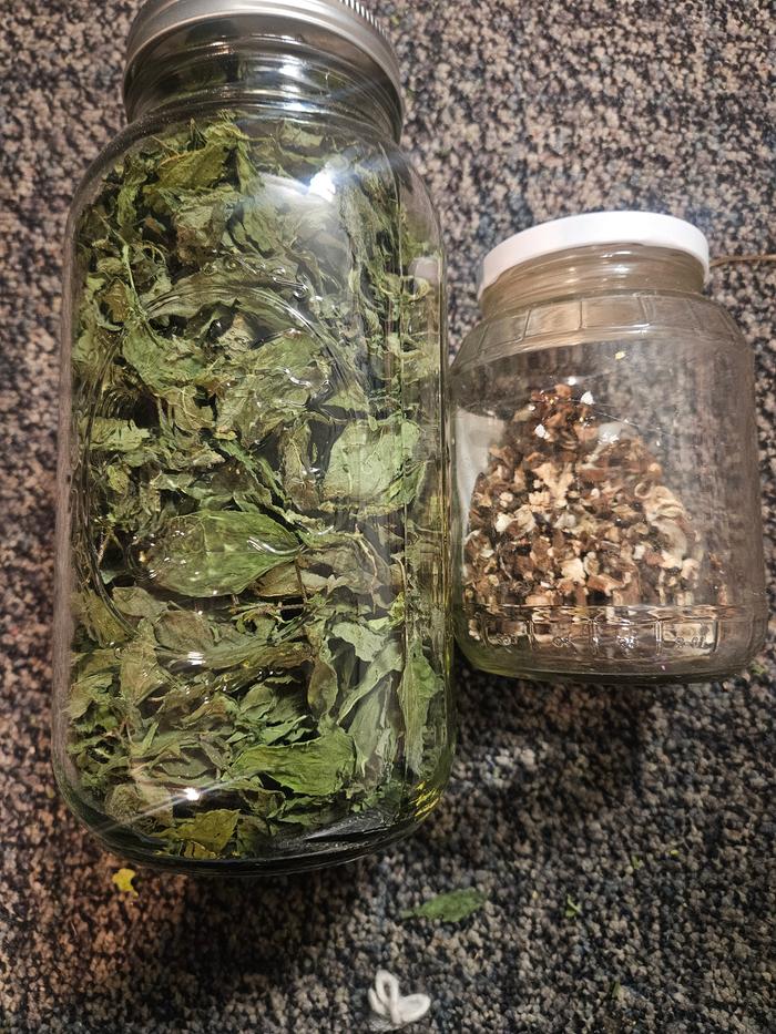 Mint and Dandelion root for medicine