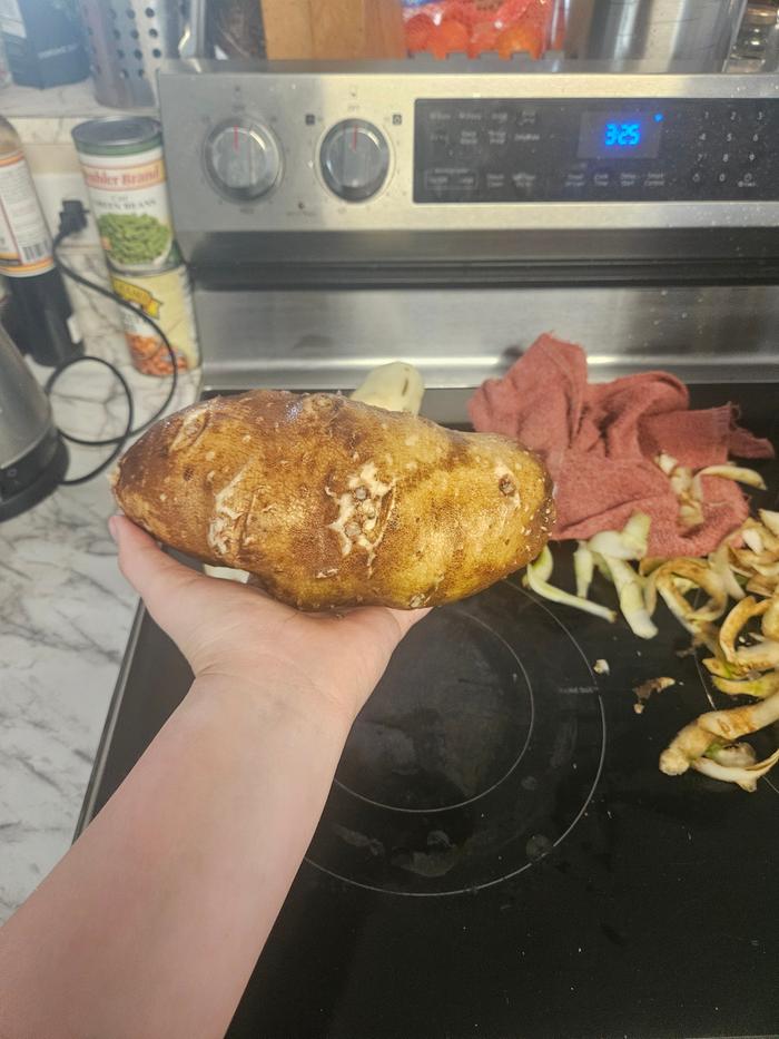Giant spuds from the cellar box