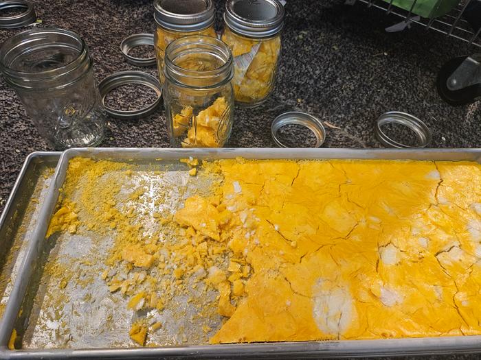 Duck eggs, freeze dried