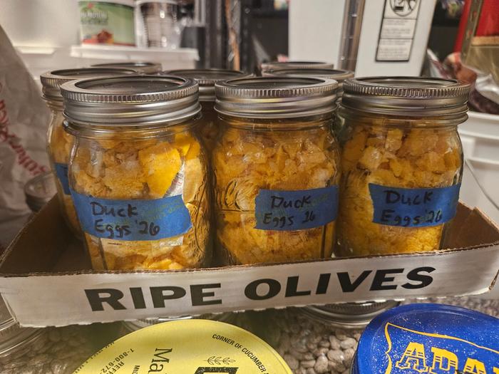 Lovely jars full of egg powder 