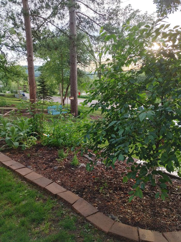 [Thumbnail for 0612242108b_HDR.jpg]