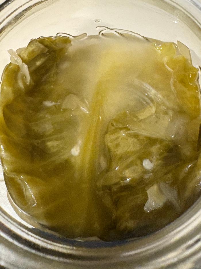 White mold spots on the top cabbage leaf - was exposed to air at some point when I was out of town