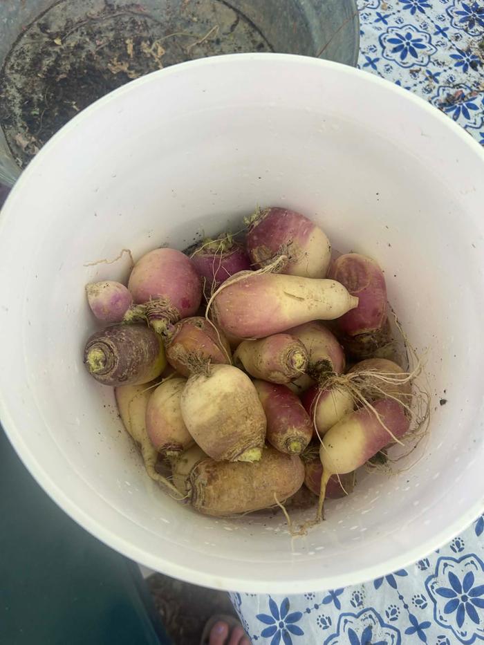 [Thumbnail for f0c58957-fb16-4aa9-aed6-5bdd5685b4b1.jpeg]