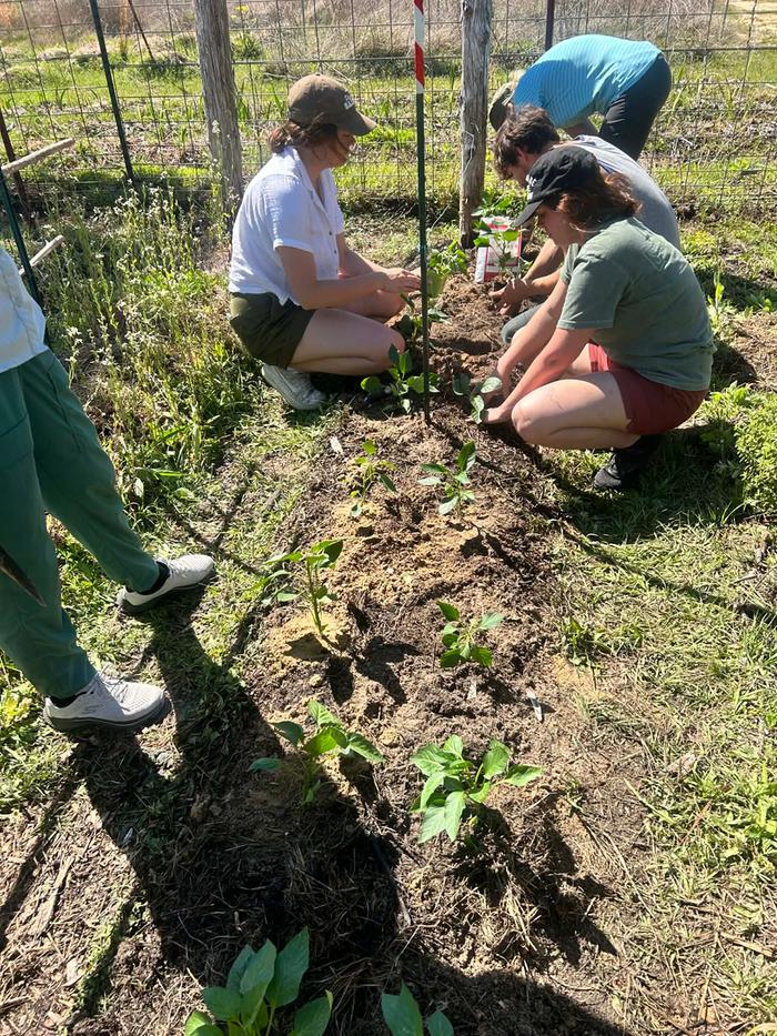 [Thumbnail for fffa483a-85e9-4d17-bddb-641135d317b0.jpeg]