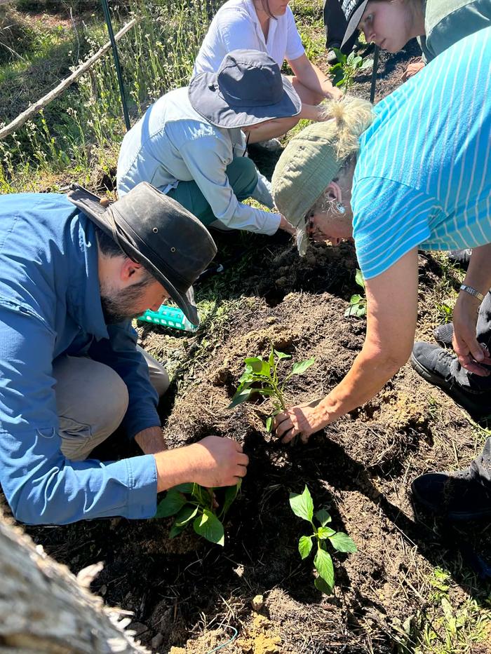 [Thumbnail for 7141d1b3-9a0c-47eb-ae62-b1b3473fb282.jpeg]