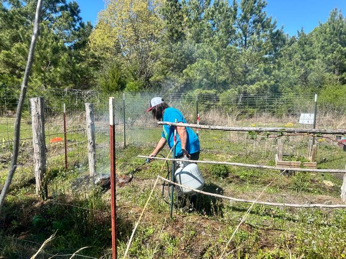 [Thumbnail for f0c2b8c6-d110-499d-85d5-730c9a6b88ee.jpeg]