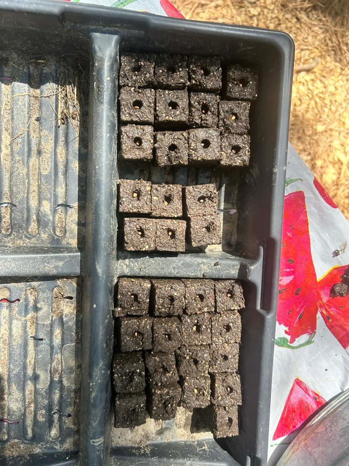 [Thumbnail for 4239e980-be4d-48e8-b418-fac0b60d3b09.jpeg]