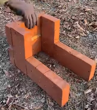 [Thumbnail for 20260201_204650_950.jpg]