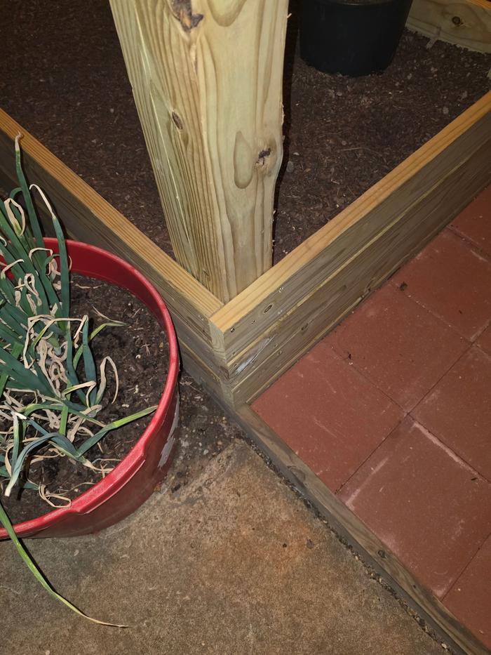 [Thumbnail for 20260325_051359.jpg]