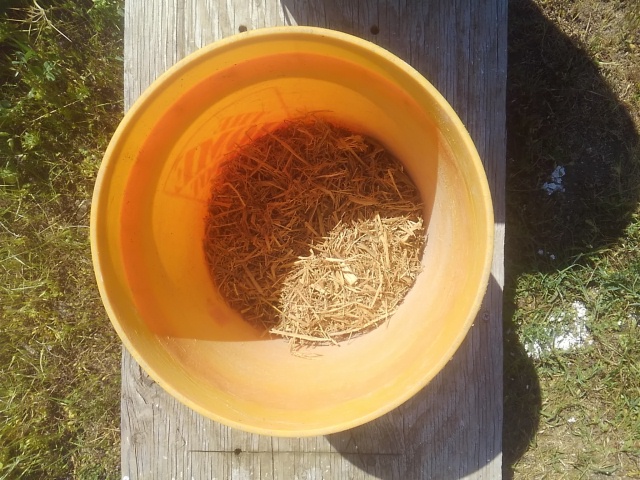 [Thumbnail for 09_Straw3-8cm.JPG]