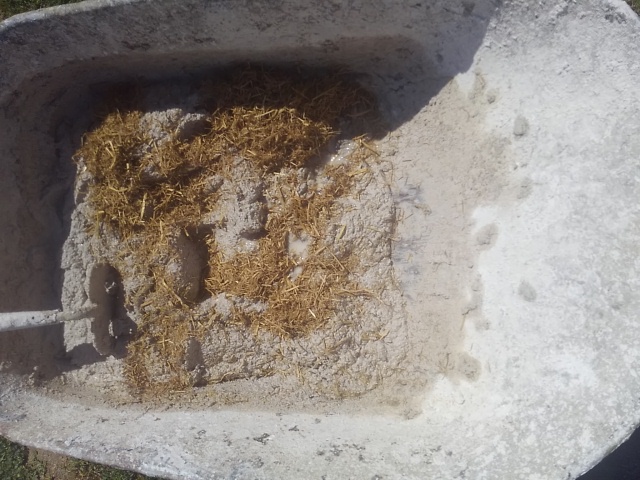 [Thumbnail for 12_SomeMoreWaterAdded.JPG]