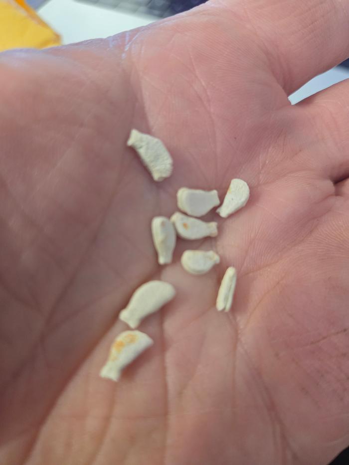 [Thumbnail for 6597.jpg]