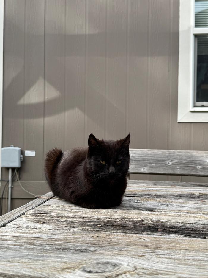 [Thumbnail for IMG_5150.jpeg]