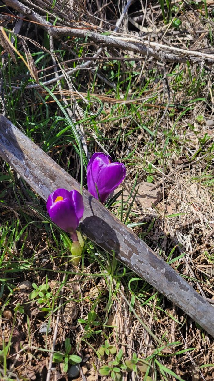 [Thumbnail for 09c90ae1-c043-4866-bfb6-625ec223b966.jpeg]