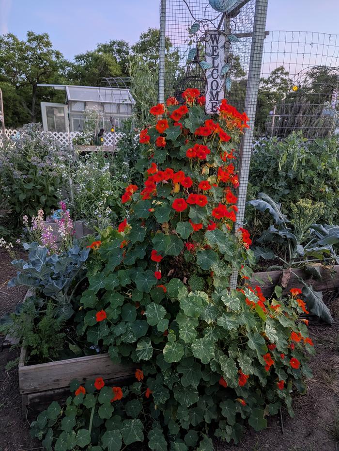 [Thumbnail for PXL_20260326_023841280.jpg]