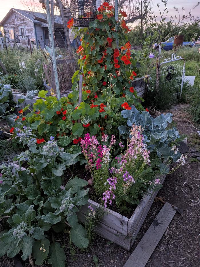 [Thumbnail for PXL_20260326_023805713.jpg]