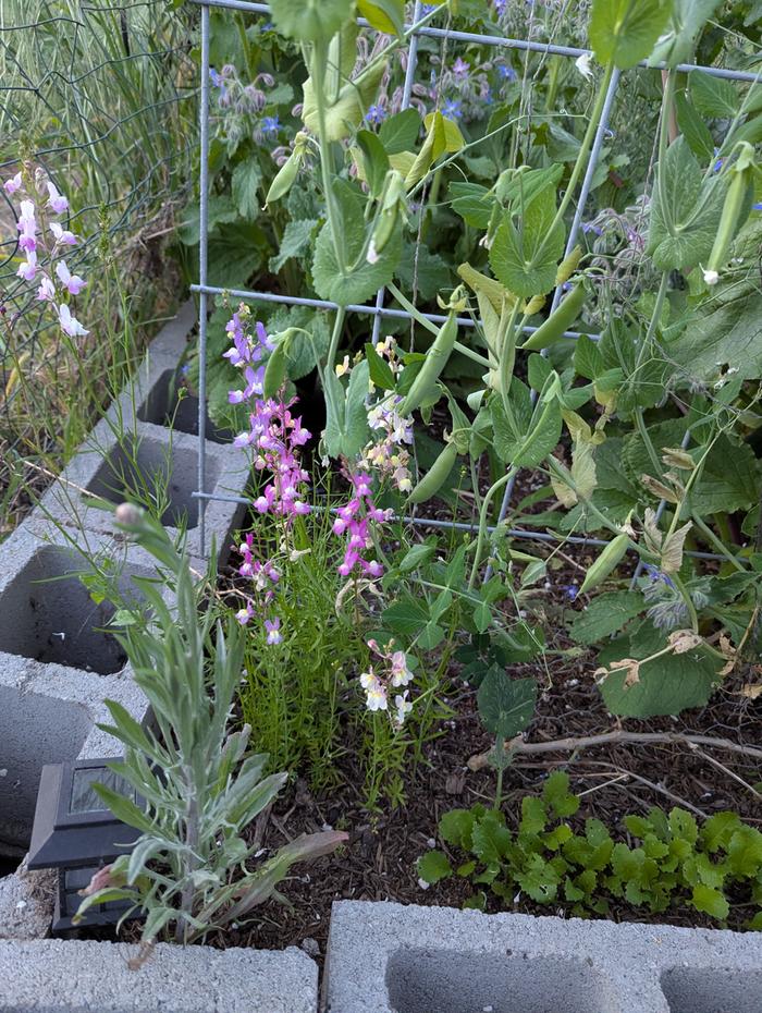 [Thumbnail for PXL_20260326_022815235.jpg]