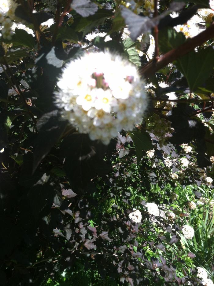 [Thumbnail for image.jpg]