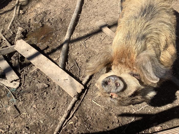 [Thumbnail for IMG_0295.jpeg]