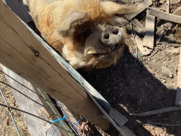 [Thumbnail for IMG_0292.jpeg]