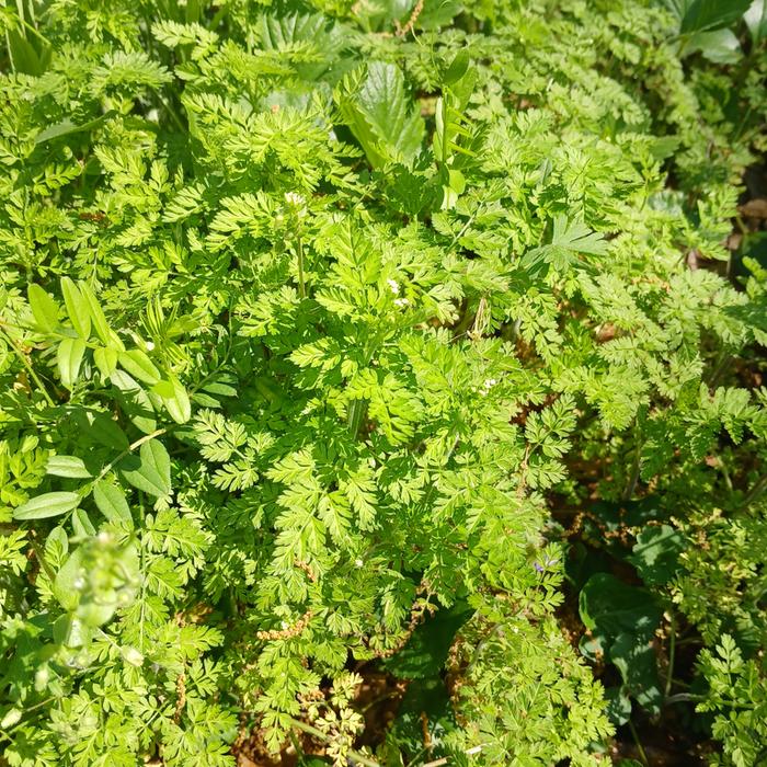 [Thumbnail for 20260328_133702.jpg]