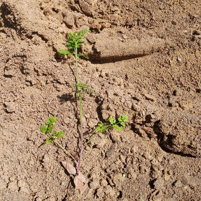 [Thumbnail for 20260328_133751.jpg]