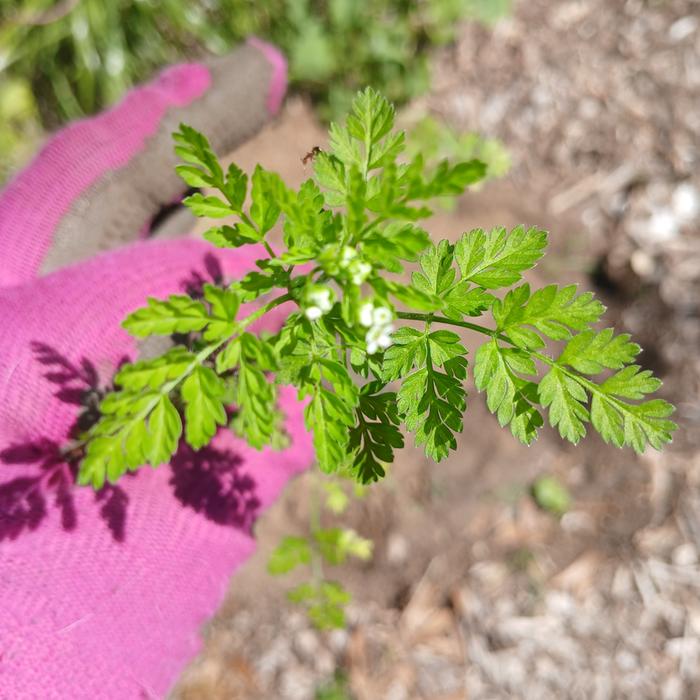 [Thumbnail for 20260328_133808.jpg]