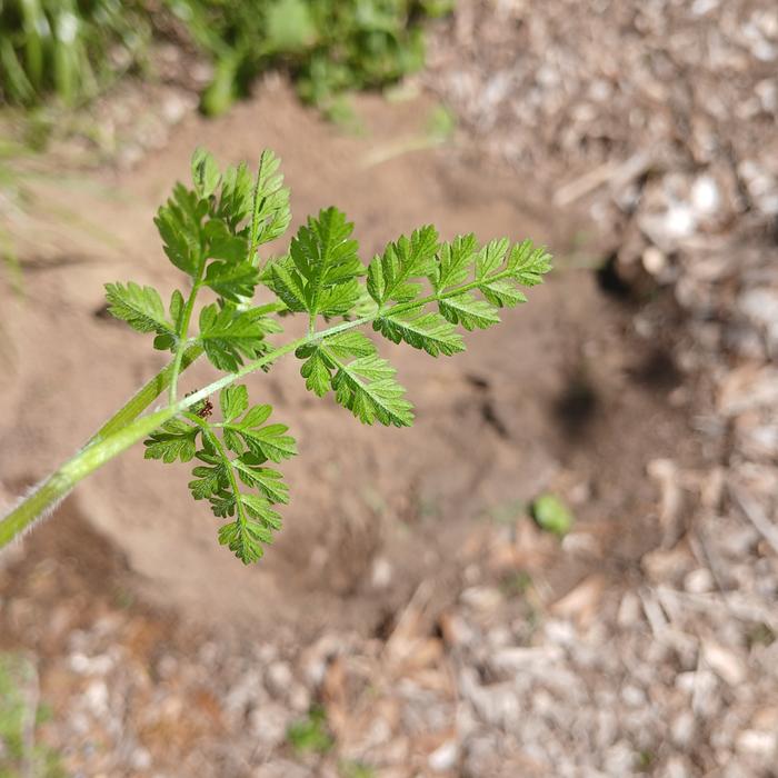 [Thumbnail for 20260328_133814.jpg]