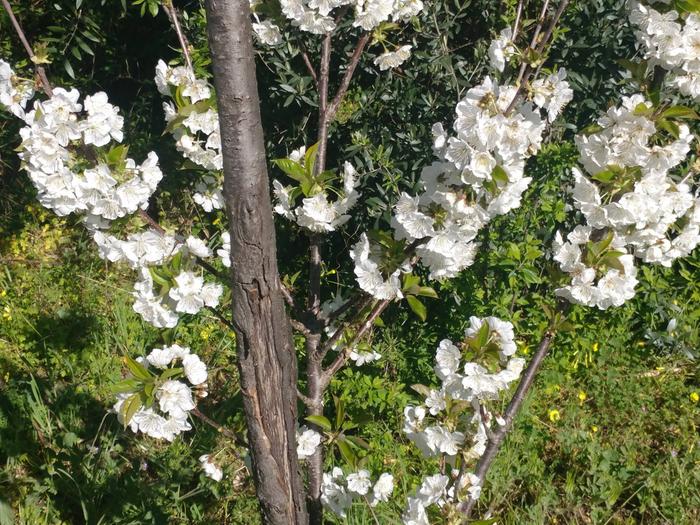 [Thumbnail for 01.jpg]