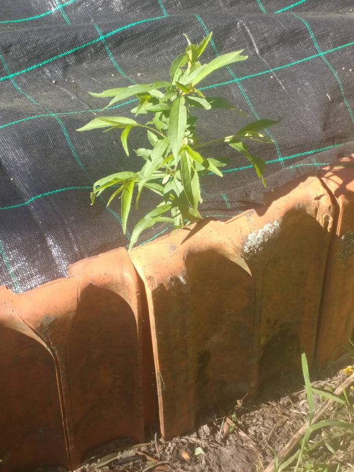 [Thumbnail for 02.jpg]