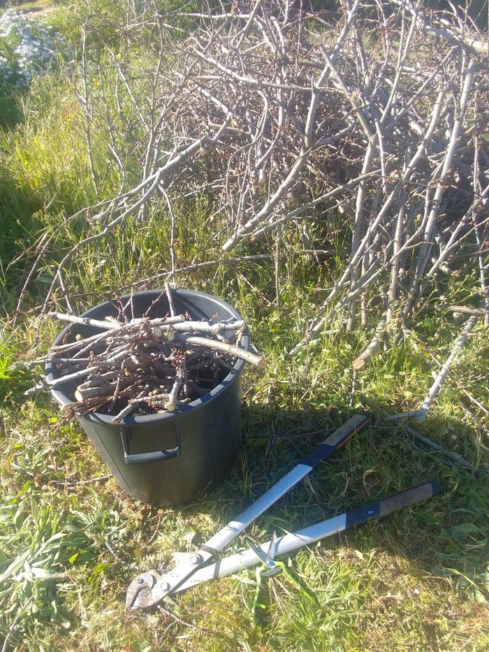 [Thumbnail for 03.jpg]