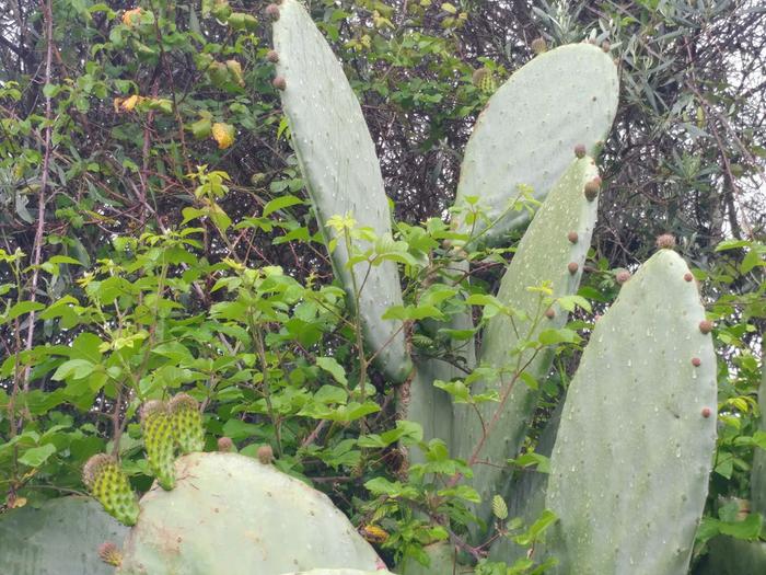 [Thumbnail for 07.jpg]