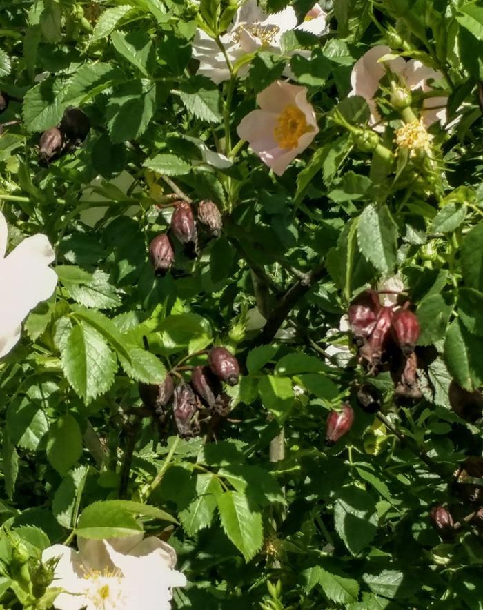 [Thumbnail for 17.jpg]